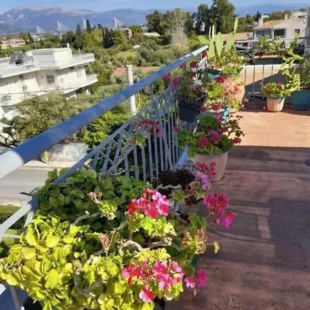 Patra's Elevated Paradise With Scenic Roofgarden Patras