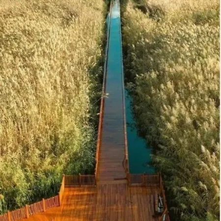 Patra's Elevated Paradise With Scenic Roofgarden Hotel 3*
